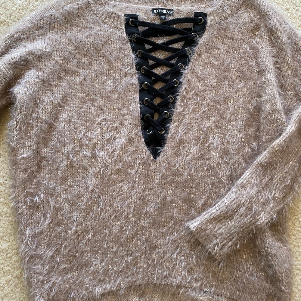 Fuzzy Express Sweater